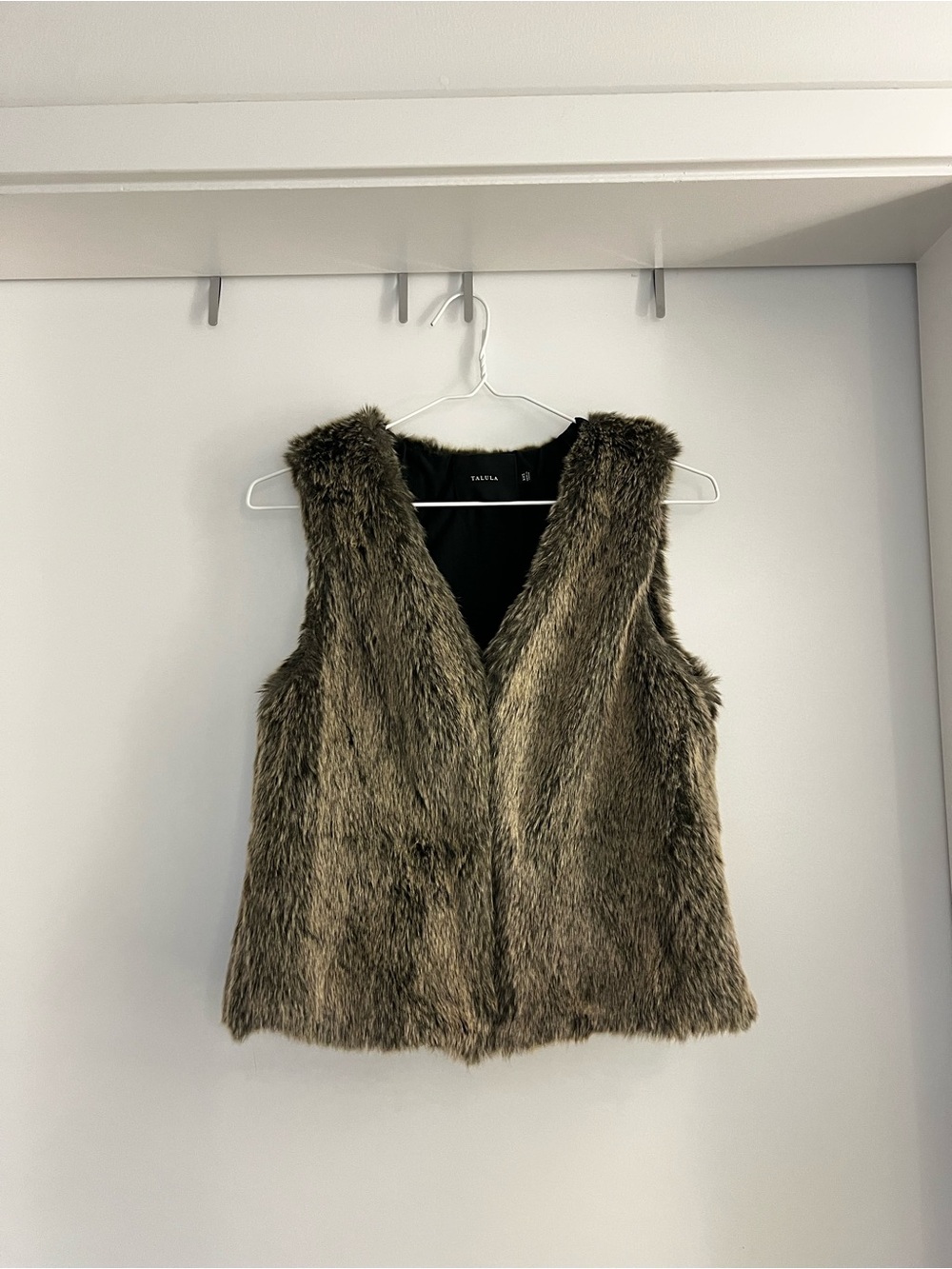 Aritzia Faux Fur Park Slope Vest
